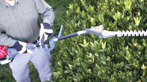 A person uses a Honda hedge trimmer on bushes.  